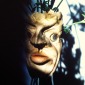 Untitled Model