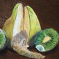 Rotting Fruit