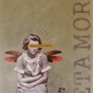 Metamorfosis