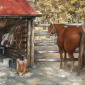 Horses tack shed