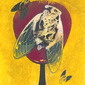 Cicada