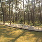 Softwood Basketball Court