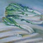 winter light (bok choy)