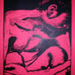 pink Armando