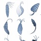 Molluscs1