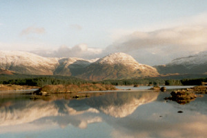 Pat Mullan