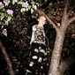 Suvi in Tree