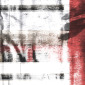 EVOLUTION EVIDENCES 02