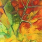 The maple leaf 1