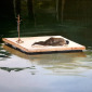 Planking
