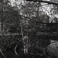 Behind the Hall