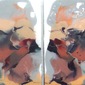 reflection 1