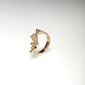 Geometric Ring 