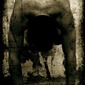 No way out 4