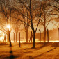 At night