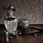 Black Bird 2009