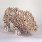 Boar