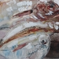 Flatfish III