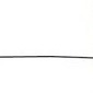 Carolyn Buckley