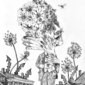 Horticulturist