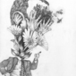 Beekeeper