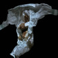 Diaper