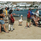The Tourists