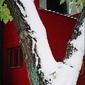 Early snow