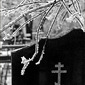 Cemetery. Volgograd.