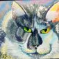 Siobhan Meow