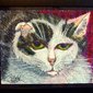 Siobhan Meow