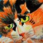 Siobhan Meow