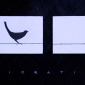 migration