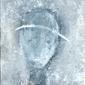 " Humanité" 2010