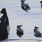 Floating Spirits