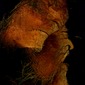 Narasimha Murthy Gollapudi