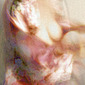 Kimono Dissolves #1b
