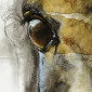 Regard XIV