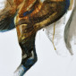 Nu équin 5 (Equine nude 5)