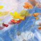Poppies in the Wind