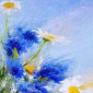 Blue and Gold