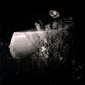 Object Diaspora #9, 2010