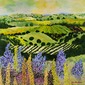 Wildflower Ridge