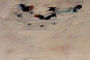 Cris Acqua