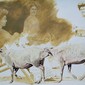 Sylvie Bayard