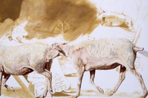 Sylvie Bayard