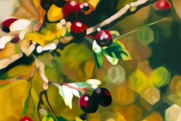 Collection Recent work; created by Lynsey Ewan