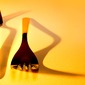 Still Life_5