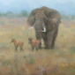 Kenyan Elephants