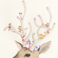 Miss Deer